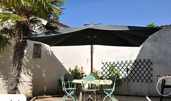 La terrasse : le parasol, la table et les chaises vertes, le palmier